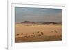 A Beautiful Landscape in Namib-Naukluft National Park, Taken from the Top of Elim Dune-Alex Saberi-Framed Photographic Print