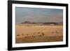 A Beautiful Landscape in Namib-Naukluft National Park, Taken from the Top of Elim Dune-Alex Saberi-Framed Photographic Print