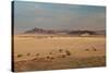 A Beautiful Landscape in Namib-Naukluft National Park, Taken from the Top of Elim Dune-Alex Saberi-Stretched Canvas