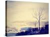 A Beautiful Landscape-graphicphoto-Stretched Canvas