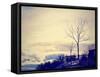 A Beautiful Landscape-graphicphoto-Framed Stretched Canvas