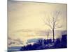 A Beautiful Landscape-graphicphoto-Mounted Photographic Print