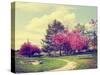 A Beautiful Park with a Path and Bench Done with a Retro Vintage Instagram Filter-graphicphoto-Stretched Canvas