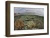 A Beautiful Reef Grows in Komodo National Park, Indonesia-Stocktrek Images-Framed Photographic Print