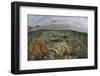 A Beautiful Reef Grows in Komodo National Park, Indonesia-Stocktrek Images-Framed Photographic Print