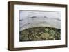 A Beautiful Reef Grows in Komodo National Park, Indonesia-Stocktrek Images-Framed Photographic Print