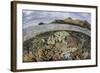 A Beautiful Reef Grows in Komodo National Park, Indonesia-Stocktrek Images-Framed Photographic Print