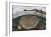 A Beautiful Reef Grows in Komodo National Park, Indonesia-Stocktrek Images-Framed Photographic Print