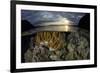 A beautiful set of corals grows in shallow water in Komodo National Park, Indonesia-Stocktrek Images-Framed Photographic Print