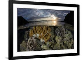 A beautiful set of corals grows in shallow water in Komodo National Park, Indonesia-Stocktrek Images-Framed Photographic Print