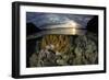 A beautiful set of corals grows in shallow water in Komodo National Park, Indonesia-Stocktrek Images-Framed Photographic Print