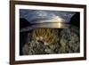 A beautiful set of corals grows in shallow water in Komodo National Park, Indonesia-Stocktrek Images-Framed Photographic Print