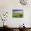 A Beautiful Spring View Showing a Rape Field Near Morston, Norfolk, England-Jon Gibbs-Photographic Print displayed on a wall