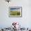 A Beautiful Spring View Showing a Rape Field Near Morston, Norfolk, England-Jon Gibbs-Framed Photographic Print displayed on a wall