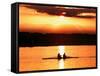 A Beautiful Sunrise Over the Sydney International Regatta Center Sillouhettes a Boat-null-Framed Stretched Canvas
