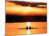 A Beautiful Sunrise Over the Sydney International Regatta Center Sillouhettes a Boat-null-Mounted Photographic Print