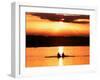 A Beautiful Sunrise Over the Sydney International Regatta Center Sillouhettes a Boat-null-Framed Photographic Print