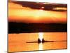 A Beautiful Sunrise Over the Sydney International Regatta Center Sillouhettes a Boat-null-Mounted Photographic Print