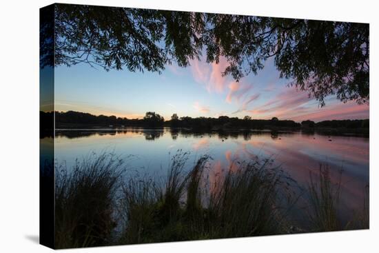 A Beautiful Sunset over Pen Ponds in Richmond Park-Alex Saberi-Stretched Canvas