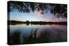 A Beautiful Sunset over Pen Ponds in Richmond Park-Alex Saberi-Stretched Canvas