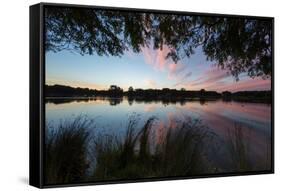 A Beautiful Sunset over Pen Ponds in Richmond Park-Alex Saberi-Framed Stretched Canvas