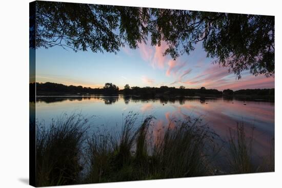 A Beautiful Sunset over Pen Ponds in Richmond Park-Alex Saberi-Stretched Canvas