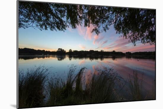 A Beautiful Sunset over Pen Ponds in Richmond Park-Alex Saberi-Mounted Photographic Print