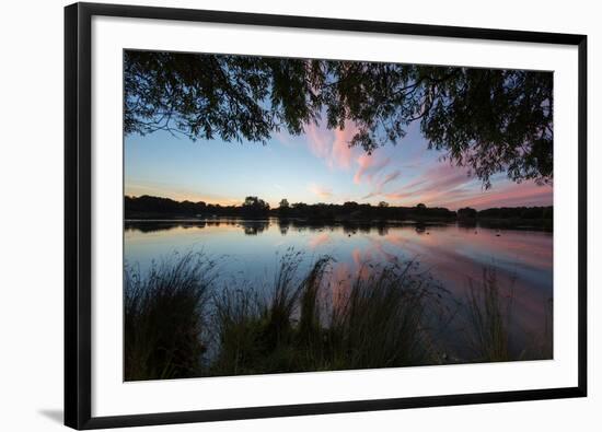 A Beautiful Sunset over Pen Ponds in Richmond Park-Alex Saberi-Framed Photographic Print