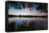 A Beautiful Sunset over Pen Ponds in Richmond Park-Alex Saberi-Framed Stretched Canvas