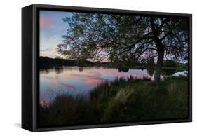 A Beautiful Sunset over Pen Ponds in Richmond Park-Alex Saberi-Framed Stretched Canvas