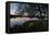 A Beautiful Sunset over Pen Ponds in Richmond Park-Alex Saberi-Framed Stretched Canvas