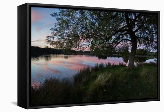 A Beautiful Sunset over Pen Ponds in Richmond Park-Alex Saberi-Framed Stretched Canvas