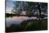 A Beautiful Sunset over Pen Ponds in Richmond Park-Alex Saberi-Stretched Canvas