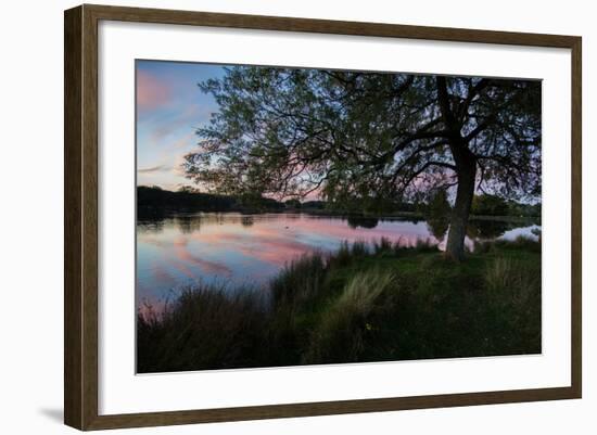 A Beautiful Sunset over Pen Ponds in Richmond Park-Alex Saberi-Framed Photographic Print