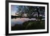 A Beautiful Sunset over Pen Ponds in Richmond Park-Alex Saberi-Framed Photographic Print