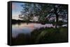 A Beautiful Sunset over Pen Ponds in Richmond Park-Alex Saberi-Framed Stretched Canvas