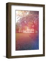 A Beautiful Tree in a Pretty Field-melking-Framed Photographic Print