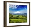 A Beautiful View Of Mount Hood-null-Framed Art Print