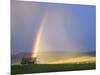 A Beaverslide Haystacker with Full Rainbow in the Big Hole Valley, Jackson, Montana, USA-Chuck Haney-Mounted Photographic Print