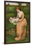 A Bed of Daisies, 1905-Alphage Brewer-Framed Giclee Print