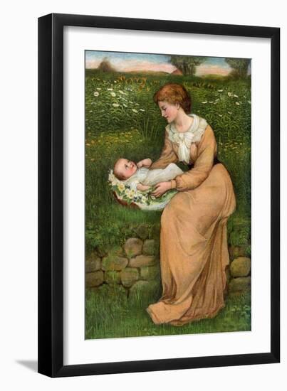A Bed of Daisies, 1905-Alphage Brewer-Framed Giclee Print