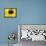 A Bee Collects Pollen from a Black-Eyed Susan-null-Framed Stretched Canvas displayed on a wall