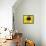 A Bee Collects Pollen from a Black-Eyed Susan-null-Framed Stretched Canvas displayed on a wall