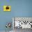 A Bee Collects Pollen from a Black-Eyed Susan-null-Stretched Canvas displayed on a wall