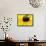 A Bee Collects Pollen from a Black-Eyed Susan-null-Framed Stretched Canvas displayed on a wall