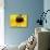 A Bee Collects Pollen from a Black-Eyed Susan-null-Mounted Photographic Print displayed on a wall