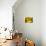 A Bee Covered with Yellow Pollen Approaches the Blossom of a Sunflower July 28, 2004 in Walschleben-null-Photographic Print displayed on a wall