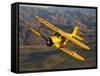 A Beechcraft D-17 Staggerwing in Flight-Stocktrek Images-Framed Stretched Canvas