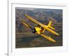 A Beechcraft D-17 Staggerwing in Flight-Stocktrek Images-Framed Photographic Print