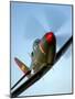 A Bell P-63 Kingcobra in Flight-Stocktrek Images-Mounted Photographic Print